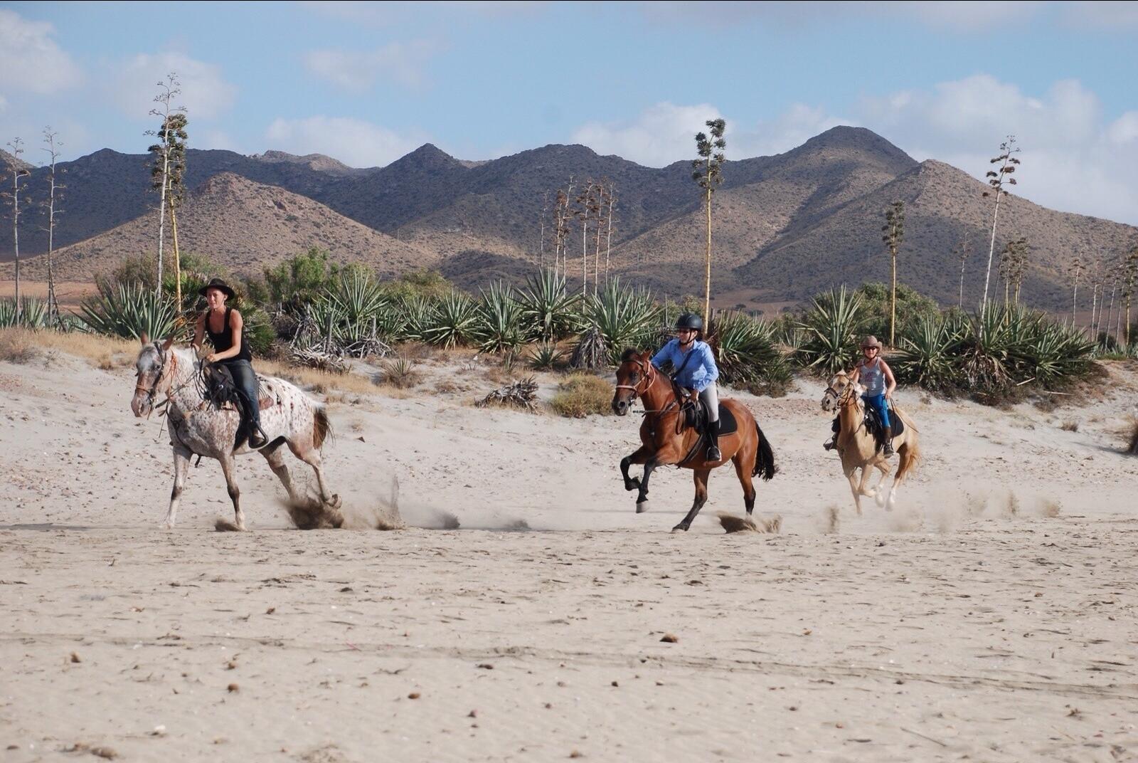Paardrijden in Andalusië, Spanje met Trailfinders Ruitervakanties