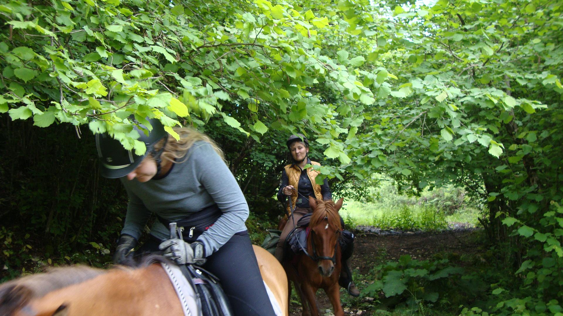 eeuwenoude paardrijtrektocht in Albanië