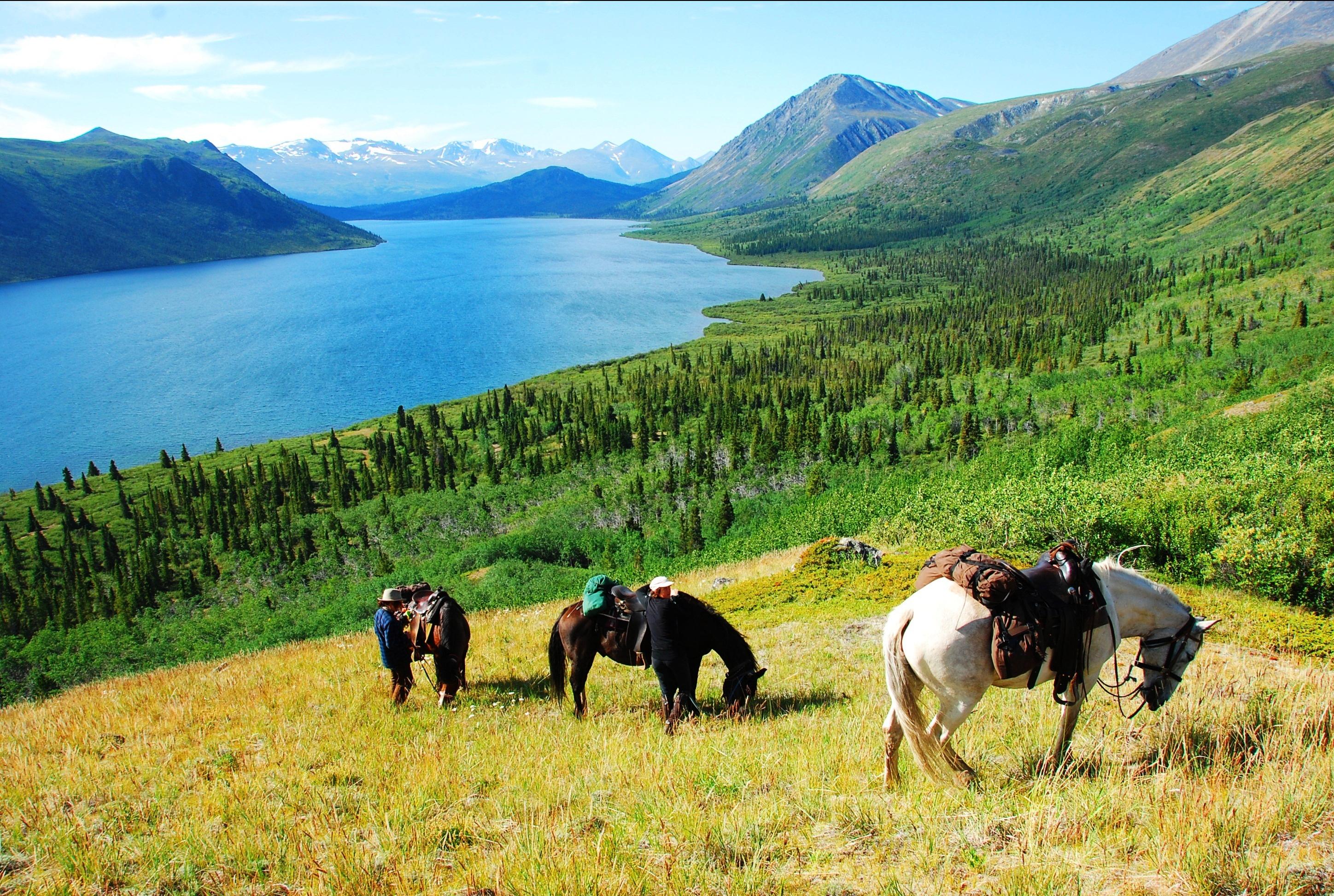Vakantie te paard in Canada met Trailfinders Ruitervakanties