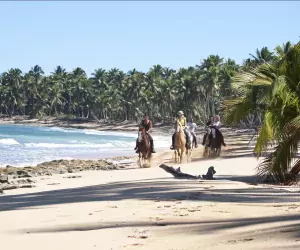 Caribische Trektocht te paard in Dominicaanse Republiek