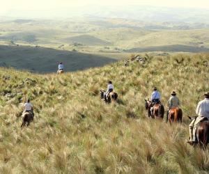 Vakantie te paard in Argentinië met Trailfinders Ruitervakanties