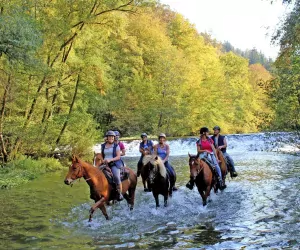 Paardrijden in Slovenië: de historische Kastelentocht