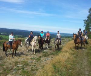 Western paardrijden in de Ardennen