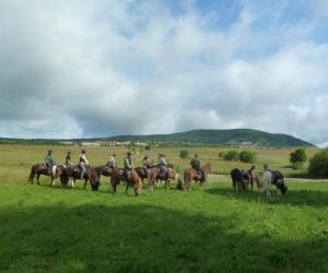 Sterritten op IJslandse paarden in de Karpaten