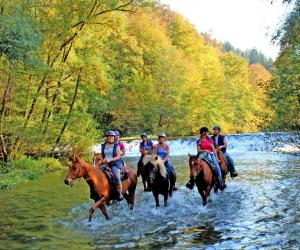 Paardrijden in Slovenië: de historische Kastelentocht