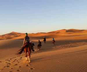 Marokkaanse Ontdekkingstocht te paard ‘Geheime Oasis van de Sahara’