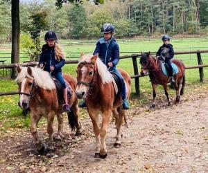 Paardrijden voor de beginnende ruiter in Limburg