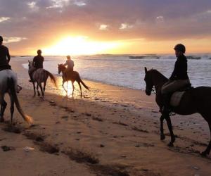 Paardrijlessen en mini-trektocht te paard in Marokko