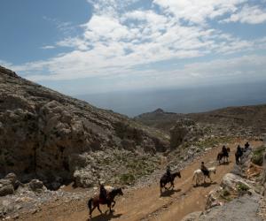 grthaowp - paardrijden op zonnig kreta (50).jpg