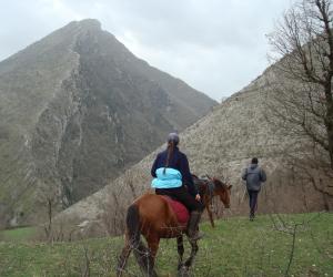 paardrijden in Albanië