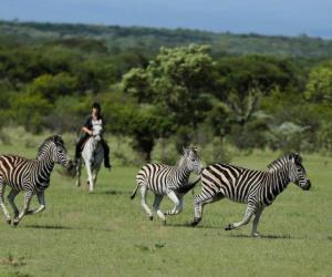 Safari te paard in Zuid-Afrika met Trailfinders Ruitervakanties