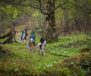 Vakantie te paard in Bosnië en Herzegovina met Trailfinders Ruitervakanties
