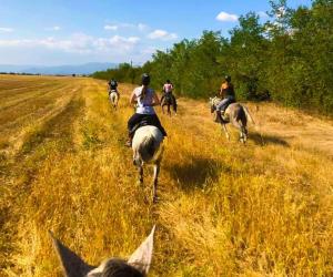 Trektocht te paard in Bulgarije met Trailfinders Ruitervakanties