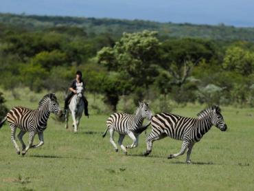 Safari te paard in Zuid-Afrika met Trailfinders Ruitervakanties