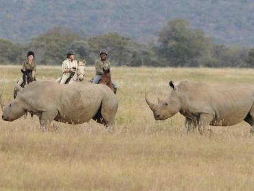 Safari te paard met Trailfinders Ruitervakanties