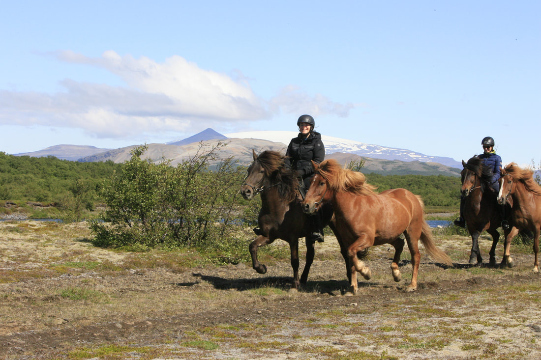 ISEXIWIJP - West-IJsland te paard- Gletsjers, grotten en berkenbossenxel6447_orig.jpeg